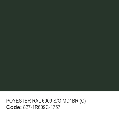 POYESTER RAL 6009 S/G MD1BR (C)
